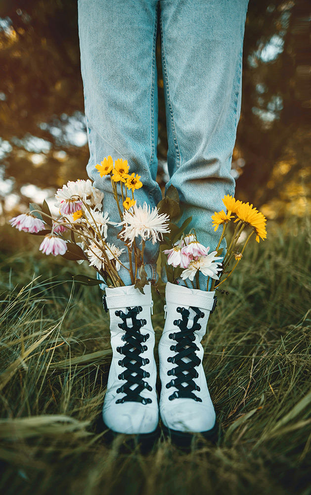 Dense orange and white flowers in a field